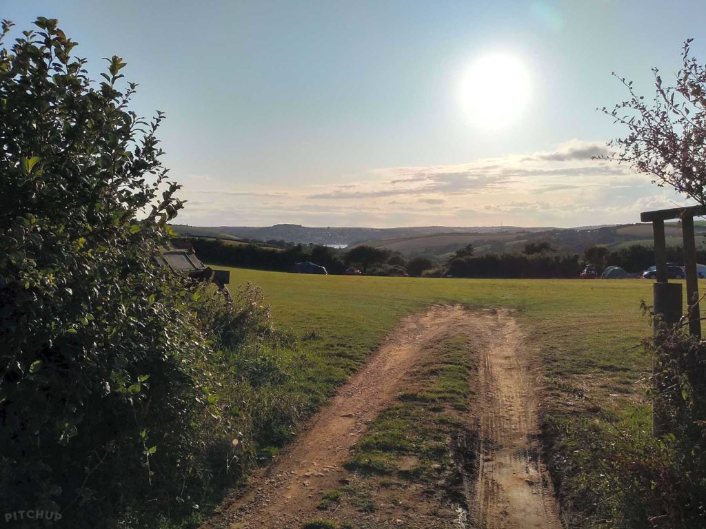 Wilton Farm Devon campsite & working farm