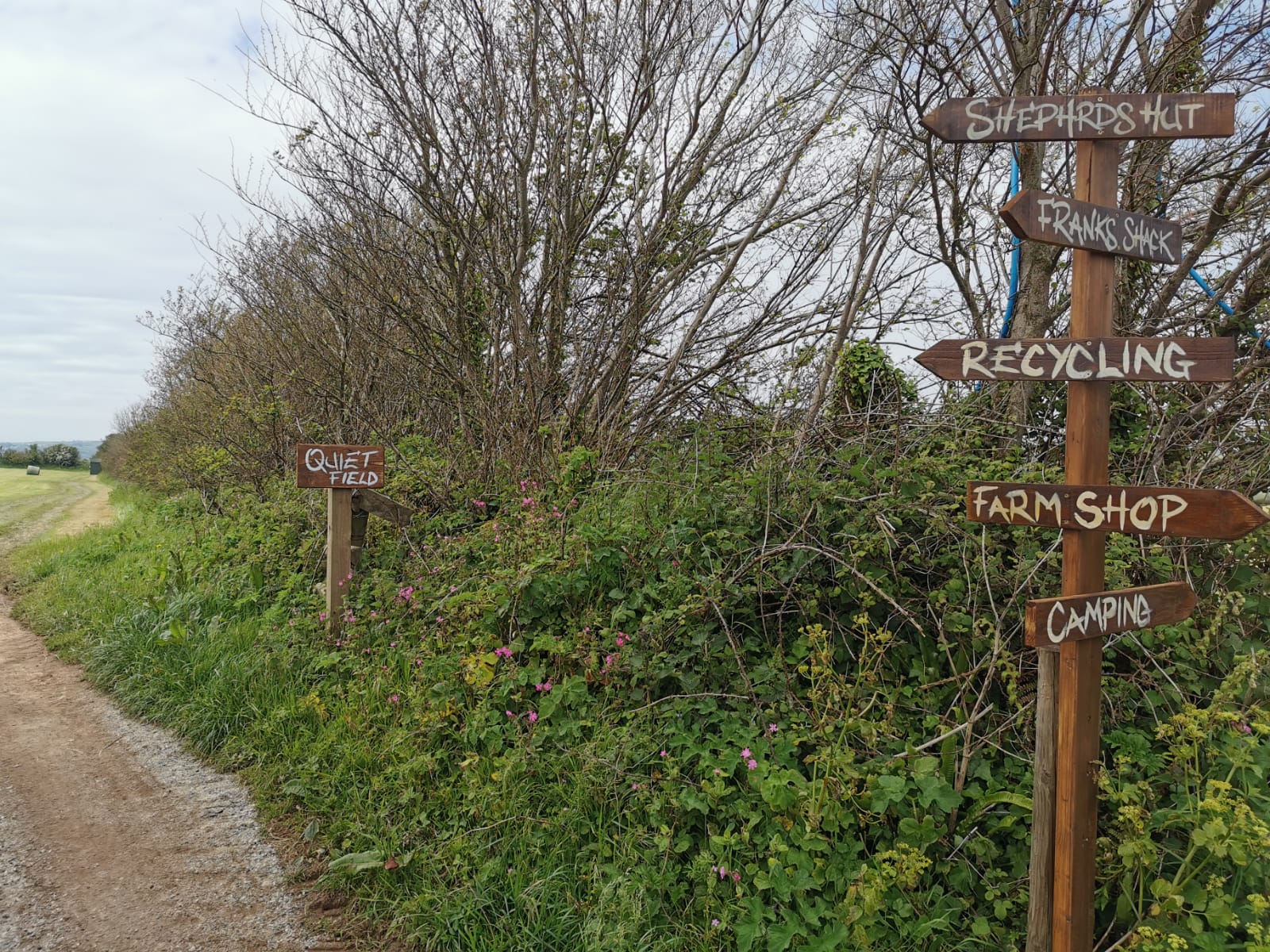 Wilton Farm Camping Wilton Farm